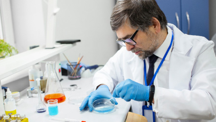 Edentlaboratory